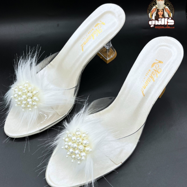 Sabot Talons Transparent